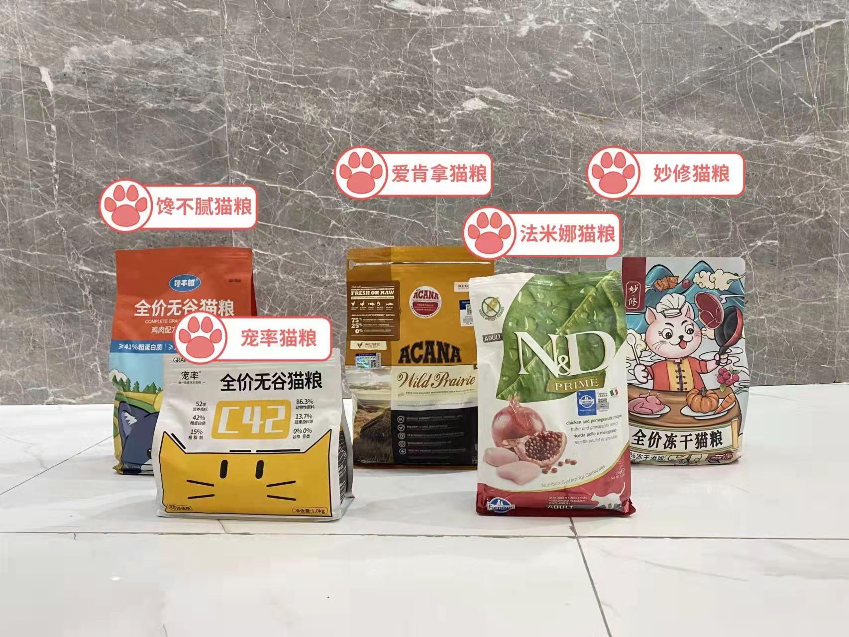 猫可以吃哪些人类食品？（真香警报！）