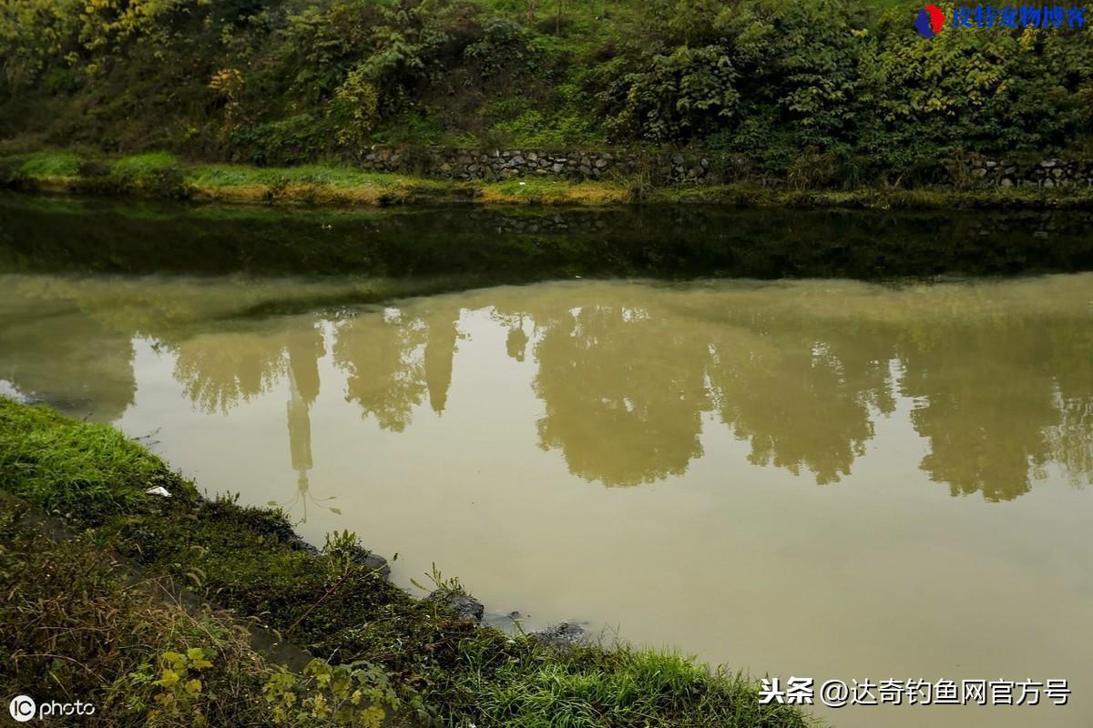 闷热天钓鱼钓深还是钓浅,用什么饵料，下雨天闷热天钓鱼好钓吗