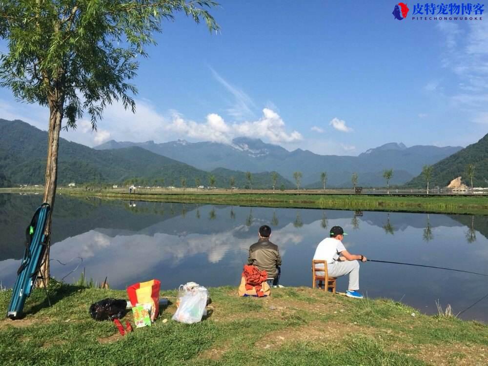 夏天刚下完雨好钓鱼吗为什么，雨天如何钓鱼及技巧分析