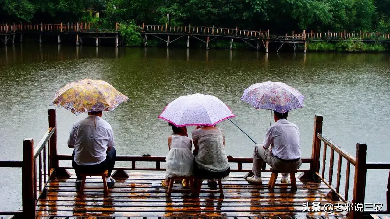 夏天下雨天钓鱼好不好钓，下雨天钓鱼应该钓深水还是浅水