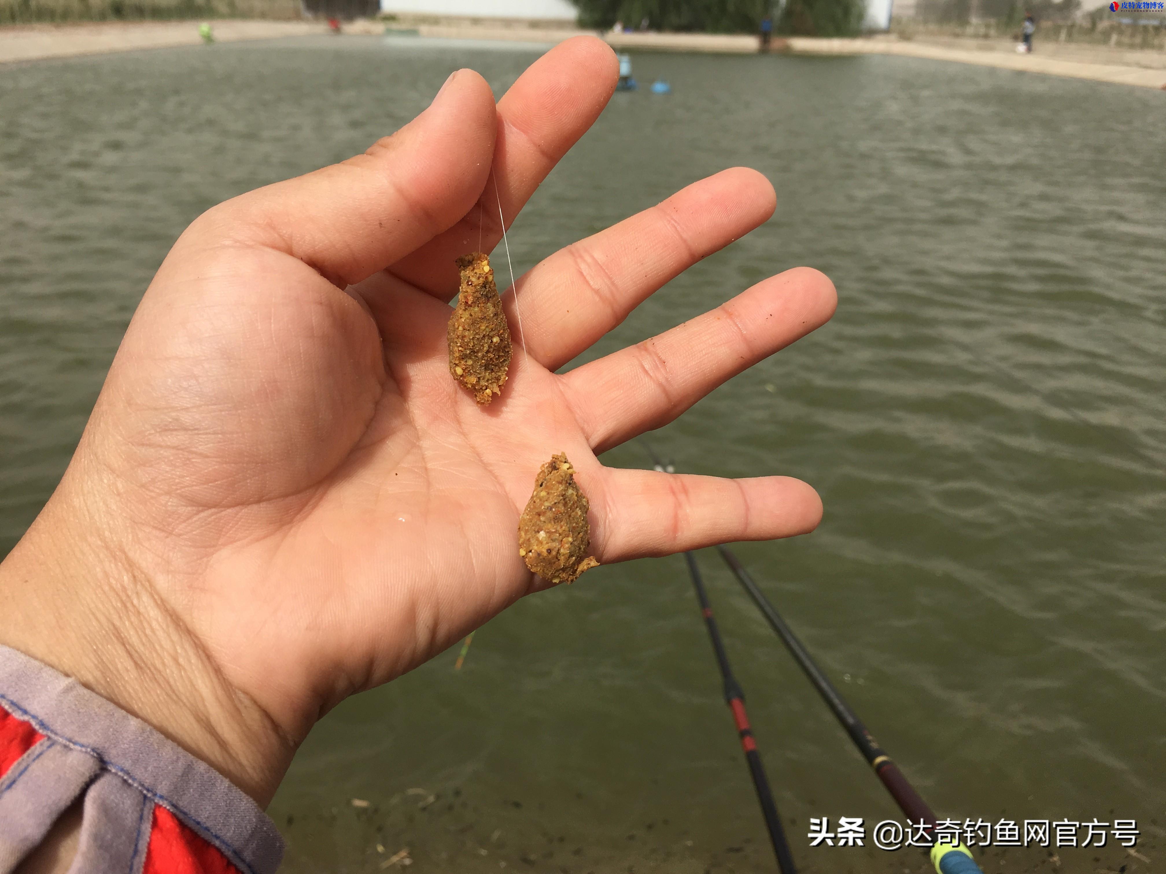 闷热天钓鱼钓深还是钓浅,用什么饵料，下雨天闷热天钓鱼好钓吗