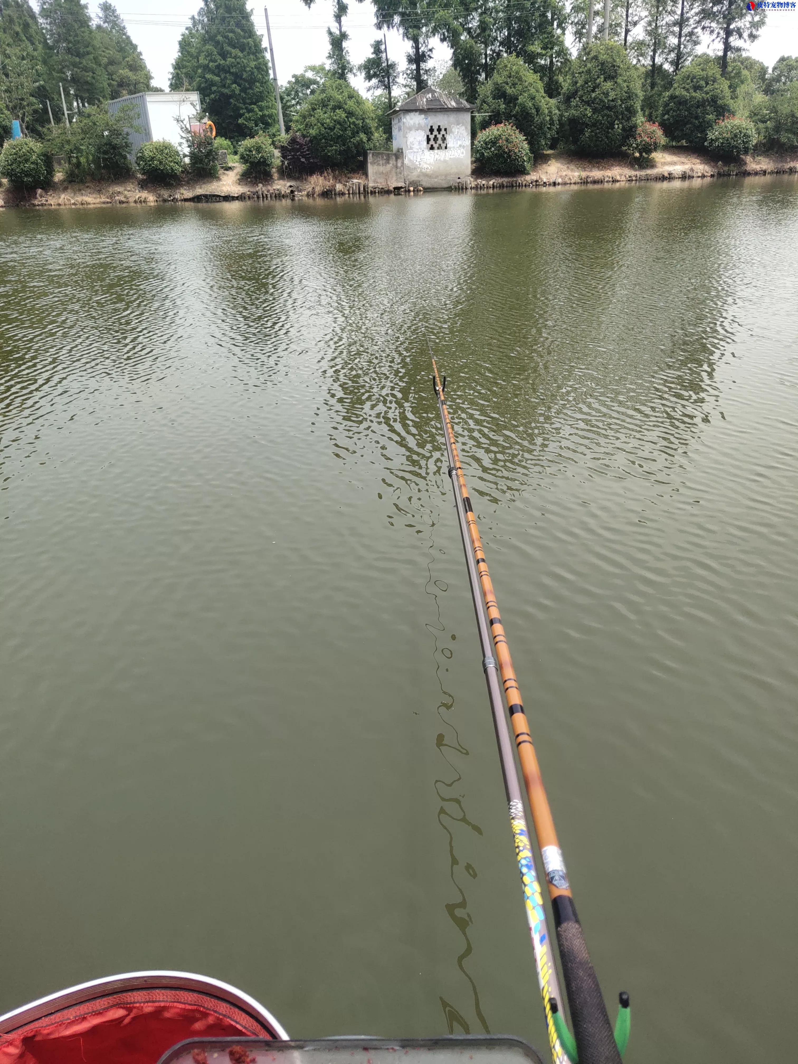 夏季钓鱼最佳时间是几月份到几月份，选择什么时间段