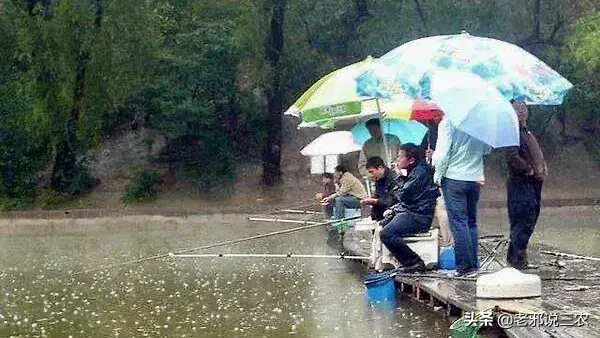 夏天下雨天钓鱼好不好钓，下雨天钓鱼应该钓深水还是浅水