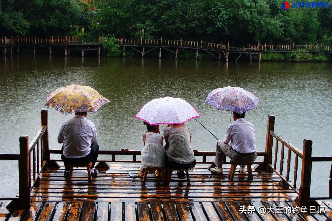 下小雨东风钓鱼好钓吗北方，夏季下雨天钓鱼技巧口诀