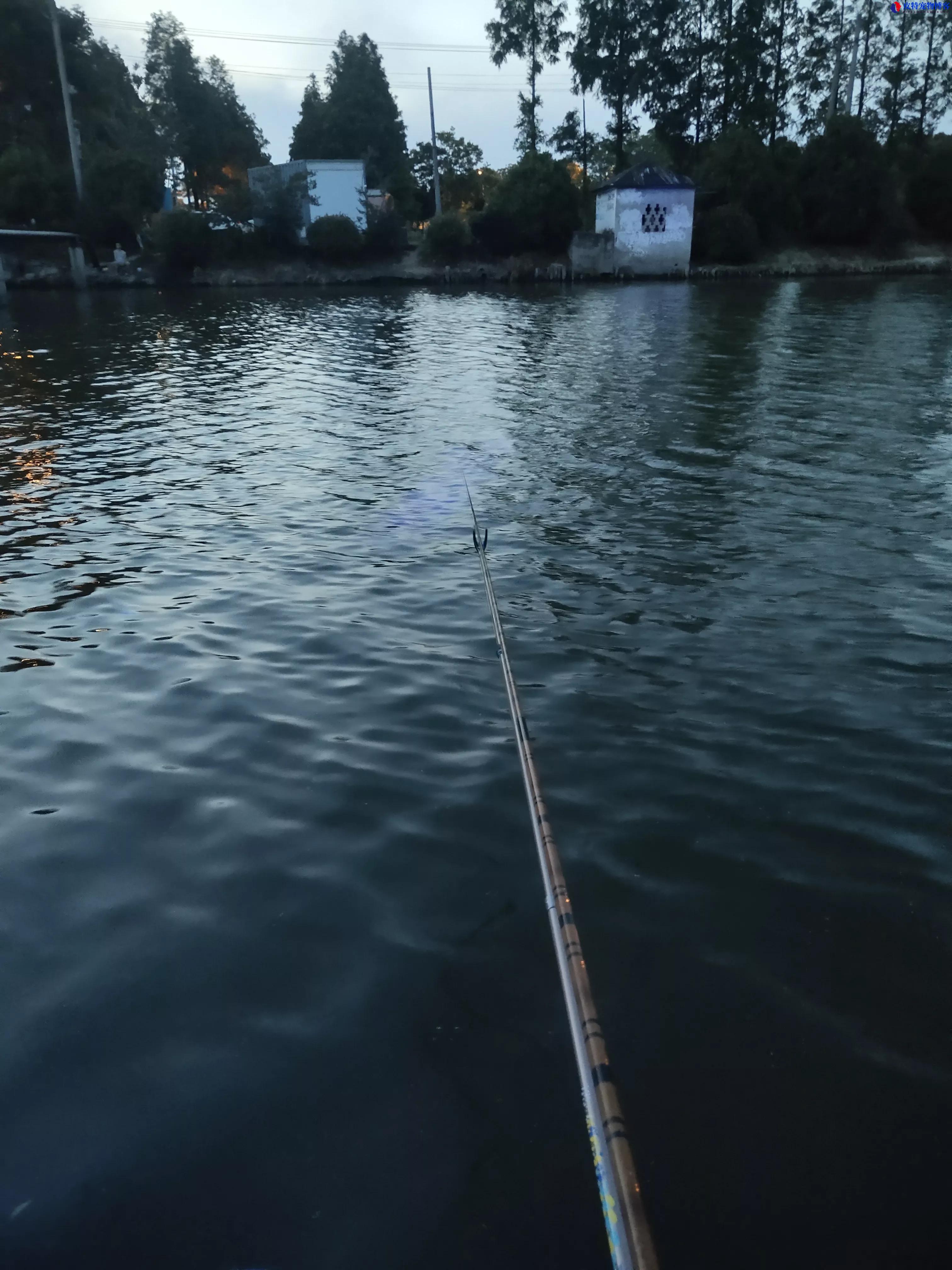 夏季钓鱼最佳时间是几月份到几月份，选择什么时间段