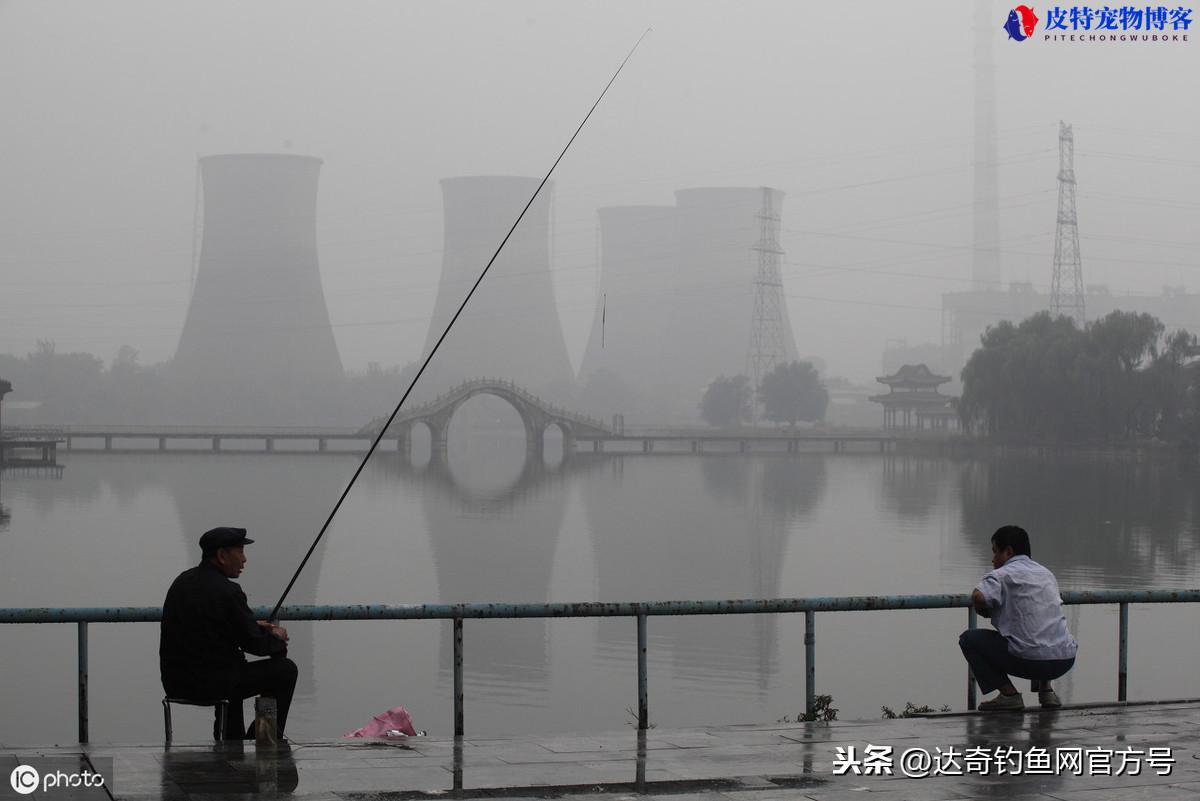 闷热天钓鱼钓深还是钓浅,用什么饵料，下雨天闷热天钓鱼好钓吗