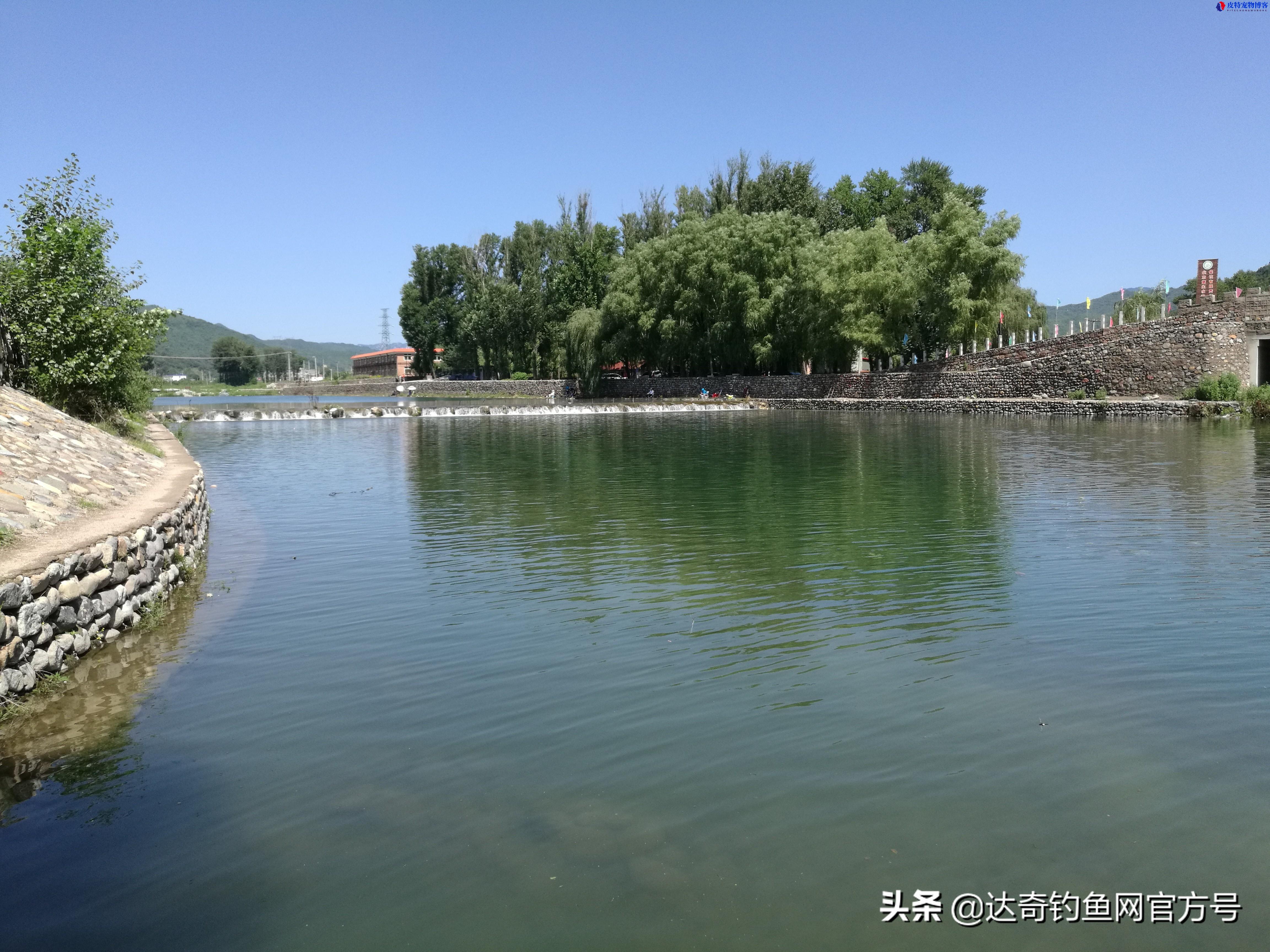 阴天下雨钓鱼钓深还是钓浅，雨天如何钓鱼及技巧分析