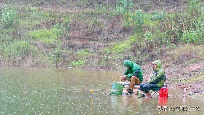 夏天下雨天钓鱼好不好钓，下雨天钓鱼应该钓深水还是浅水