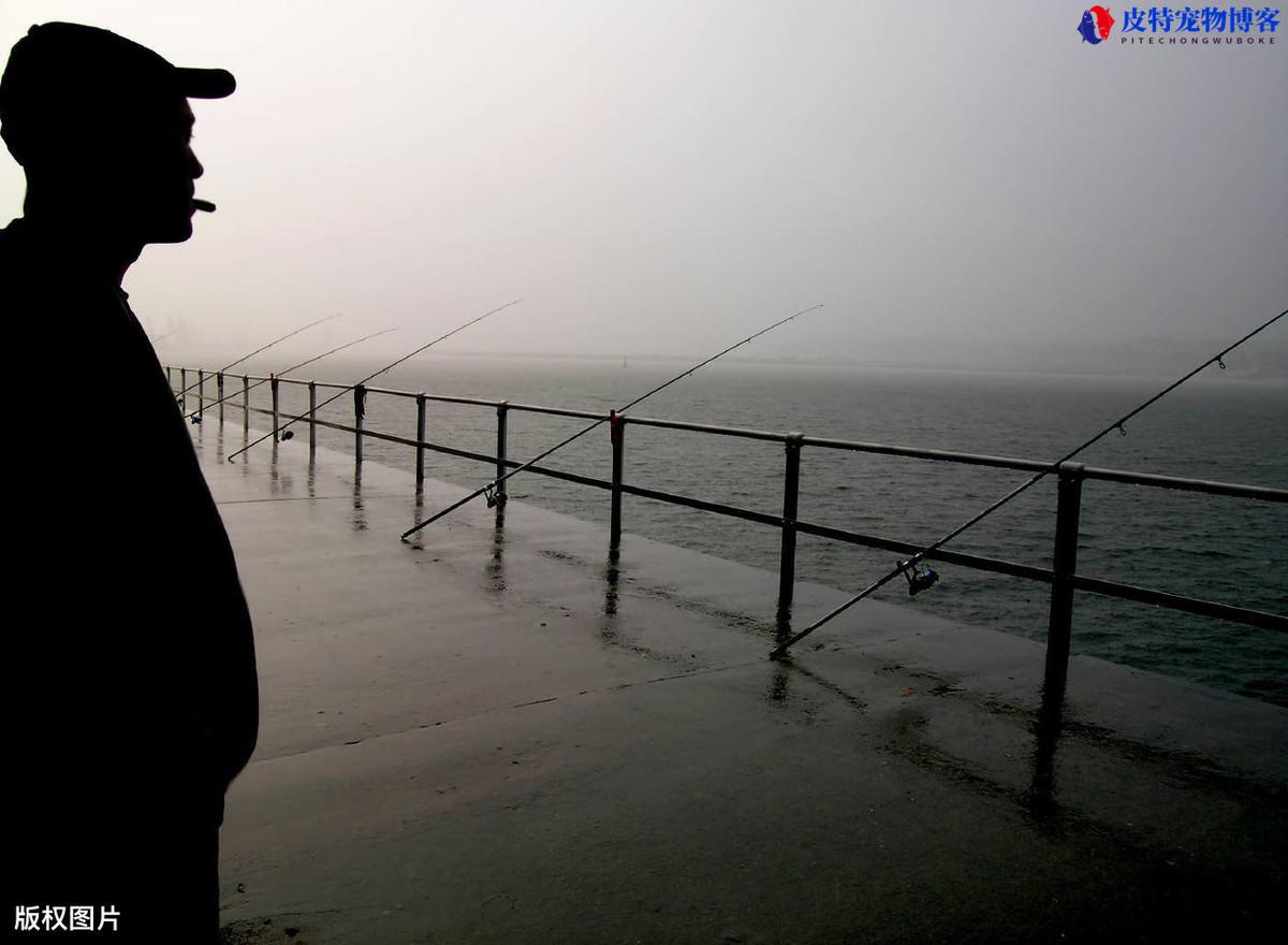 夏天下雨前钓鱼好不好钓到鱼，下雨天钓鱼有什么技巧和方法