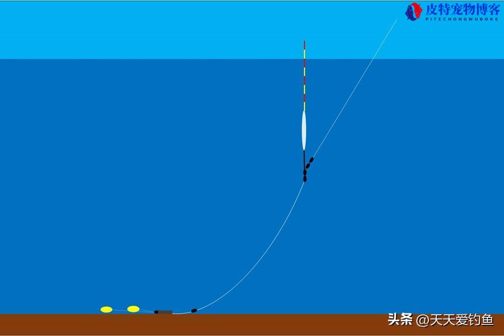 跑铅钓法怎样调漂，什么是跑铅钓法图解，跑铅钓法的优缺点