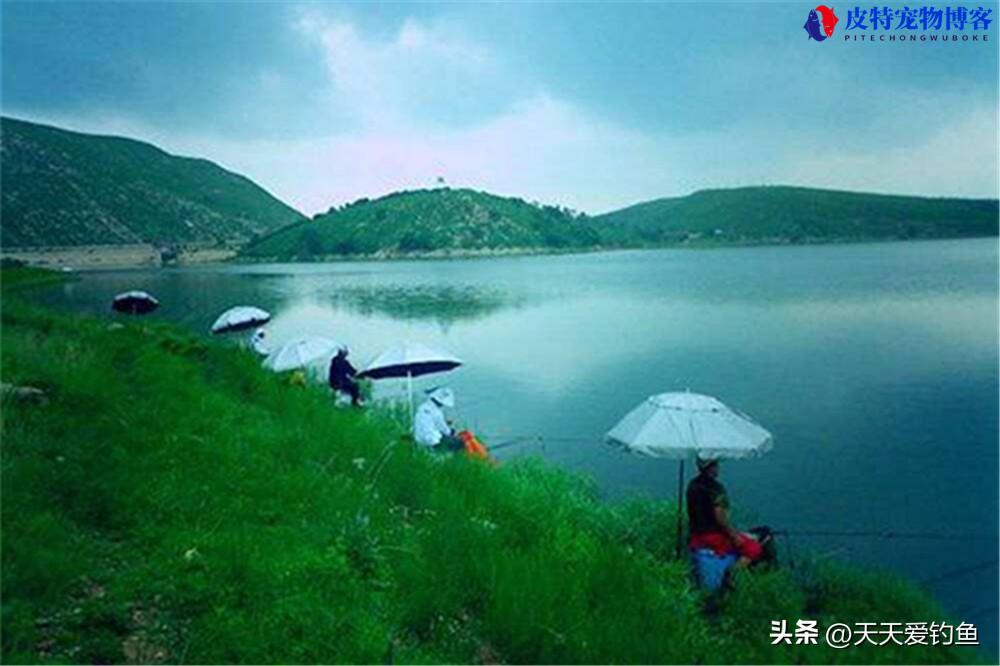 5月份下雨天钓鱼好不好钓，下雨前好钓鱼,还是下雨后好钓