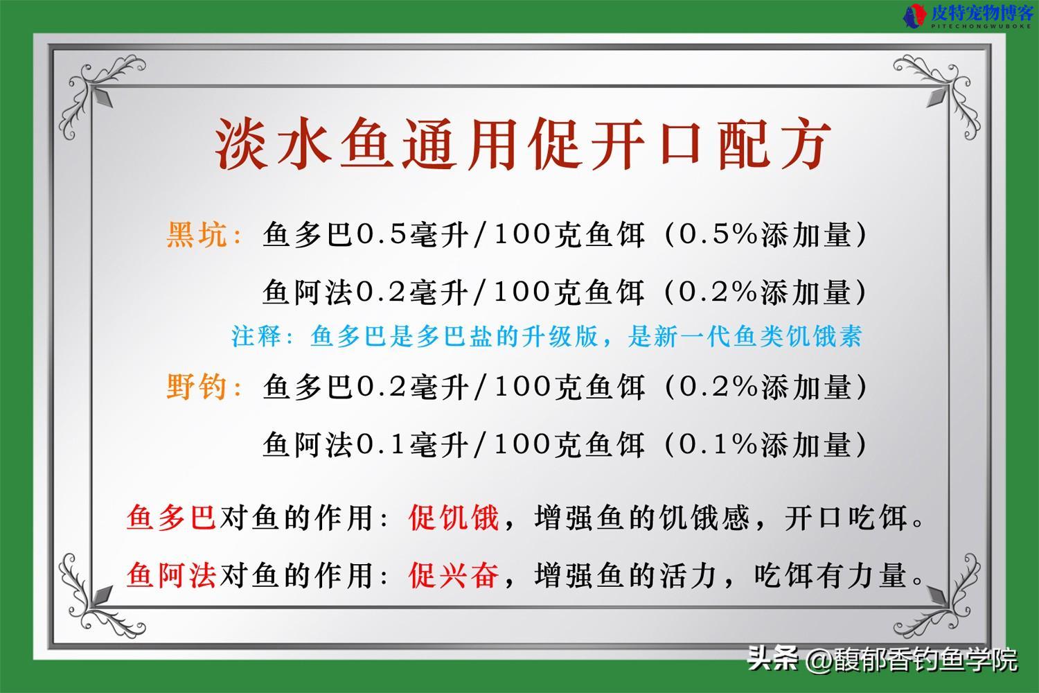 夏天钓鲫鱼的最佳时间及方法，为什么鲫鱼不开口用什么味料