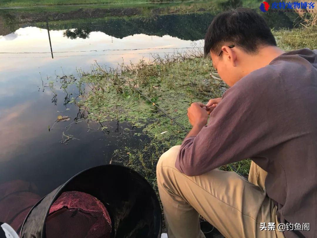 钓鱼的好处和坏处，钓鱼的人是一种什么心态