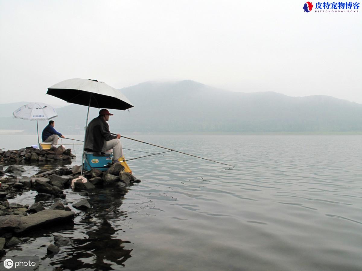 夏天北风好钓鱼吗为什么，春天刮北风在哪个位置钓鱼