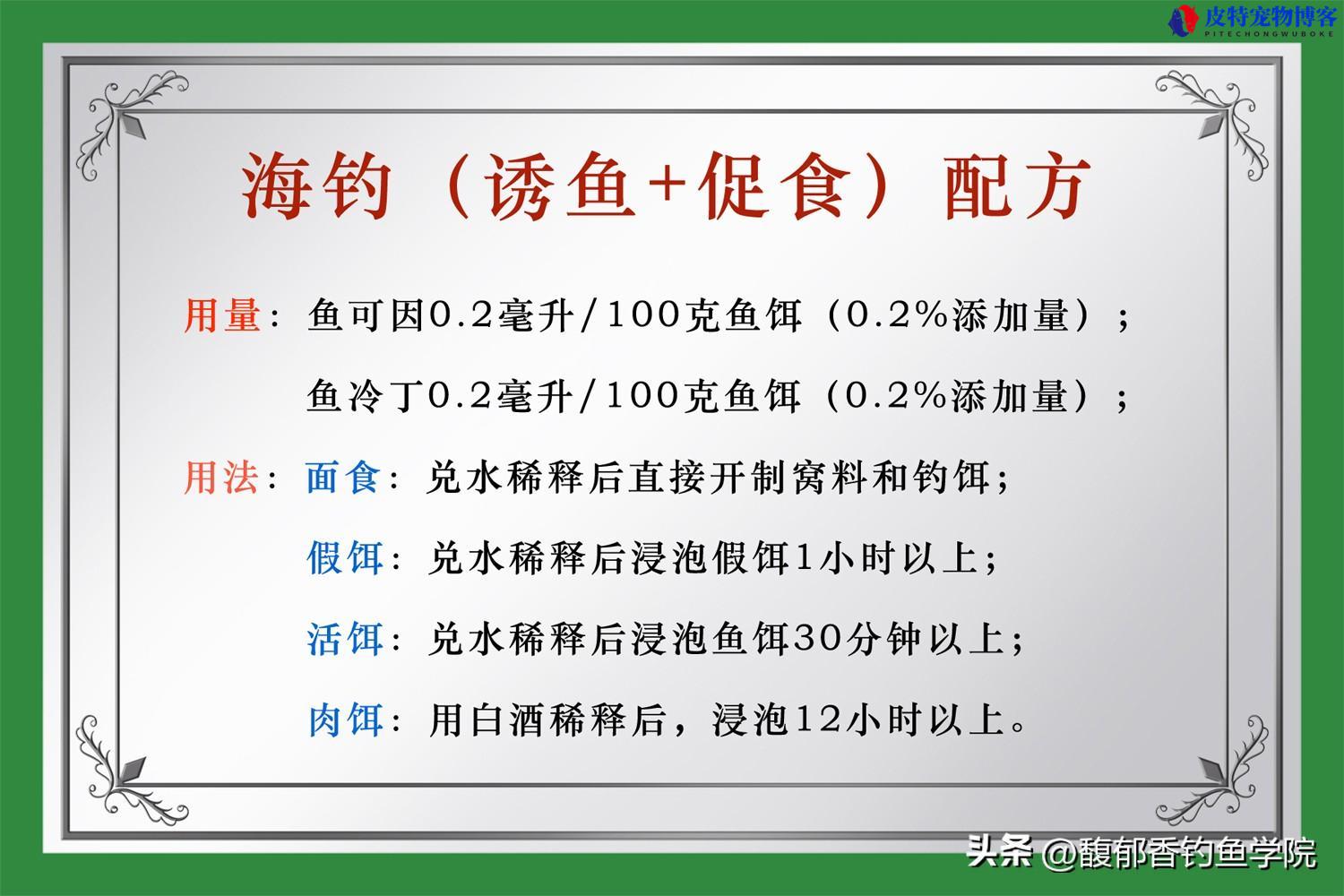 石斑鱼怎么钓才能钓到，钓海石斑鱼技巧绝招是什么