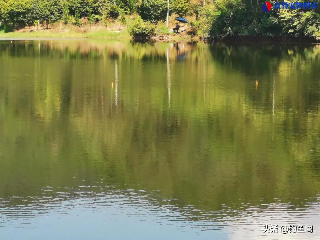 海竿钓鲢鳙最佳水深多少合适，海竿钓鲢鳙水深方法和技巧