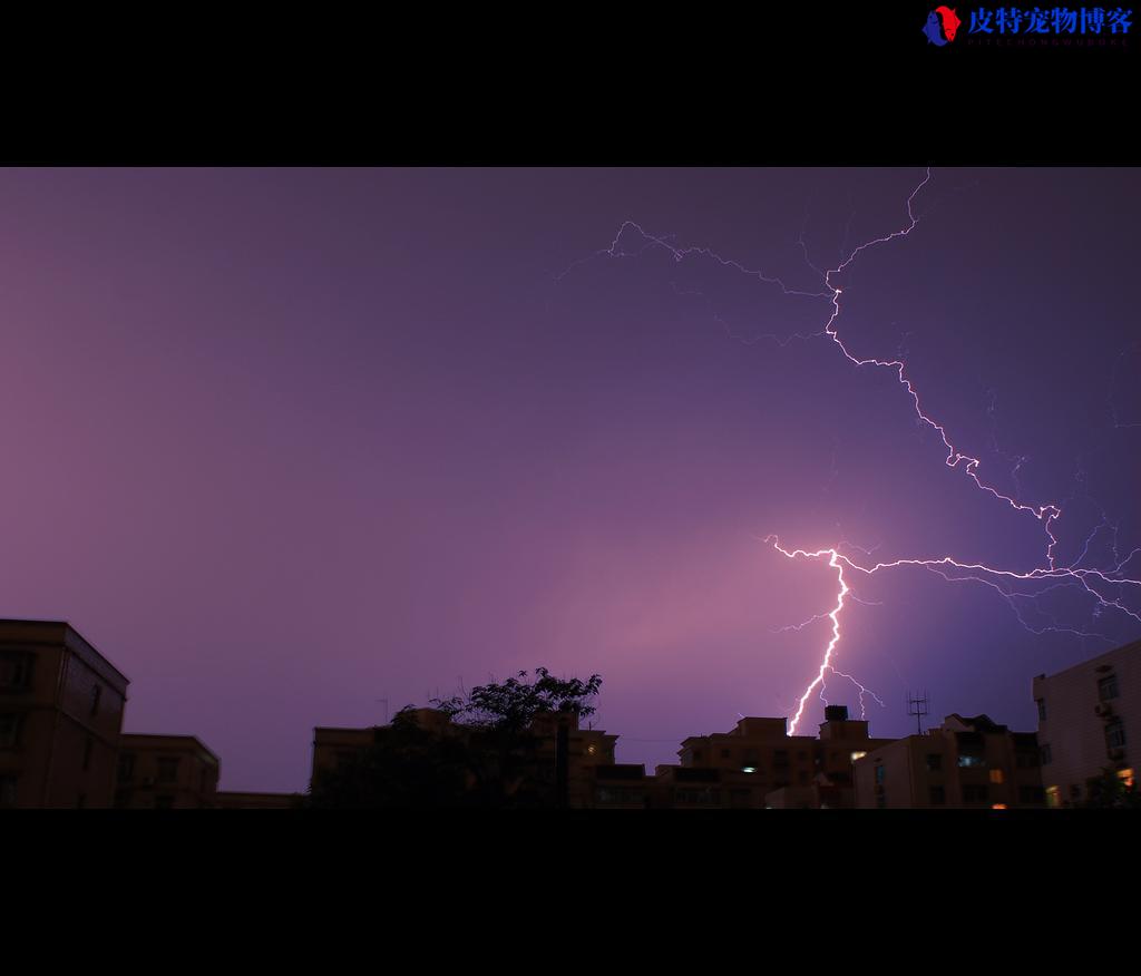 下雨钓鱼好不好钓鱼，下雨钓鱼钓什么位置比较好