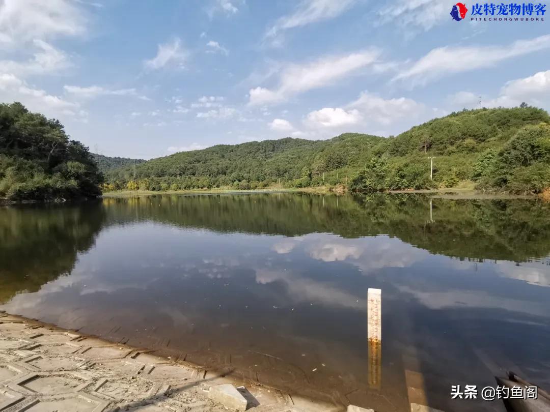 海竿钓鲢鳙最佳水深多少合适，海竿钓鲢鳙水深方法和技巧