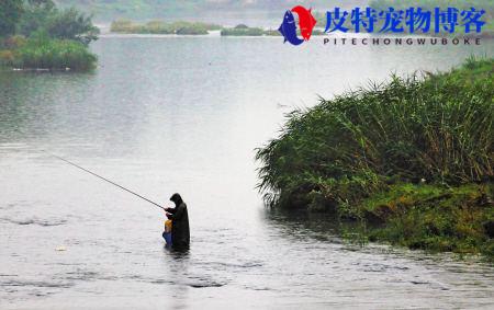 夏天雨后钓鱼钓深水还是浅水好，下雨钓翘嘴钓深水还是浅滩好