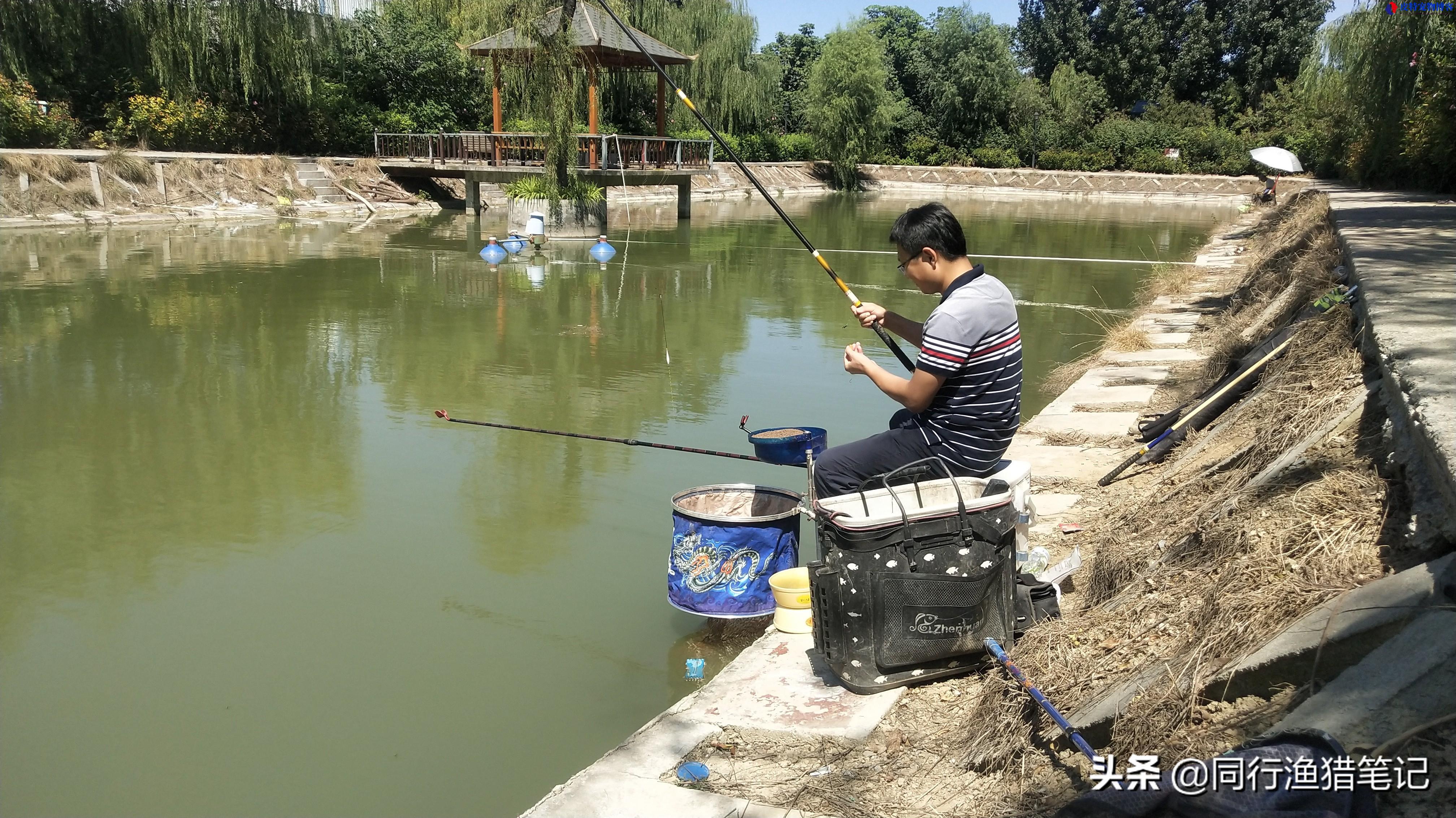 钓鱼偷驴和正钓是什么意思，偷偷钓鱼钓多少鱼才立案