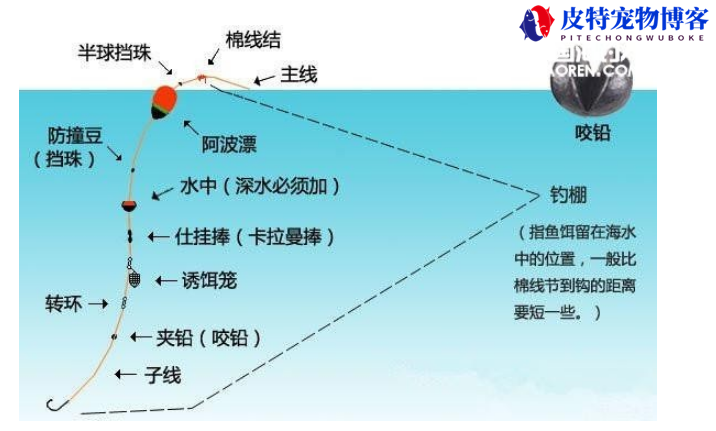 矶钓线组搭配及作用，卡拉棒的作用，线组中水漂的用途