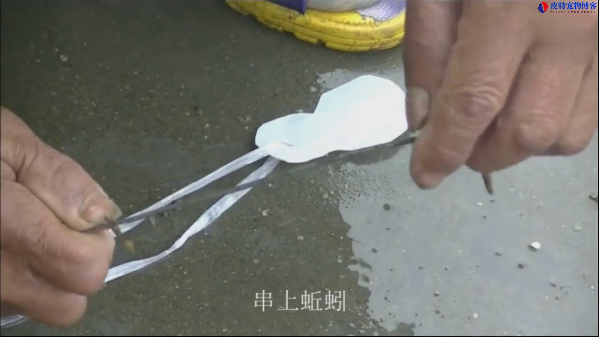 钓黄鳝的钩子制作方法图解，钓黄鳝的钩子是什么样子