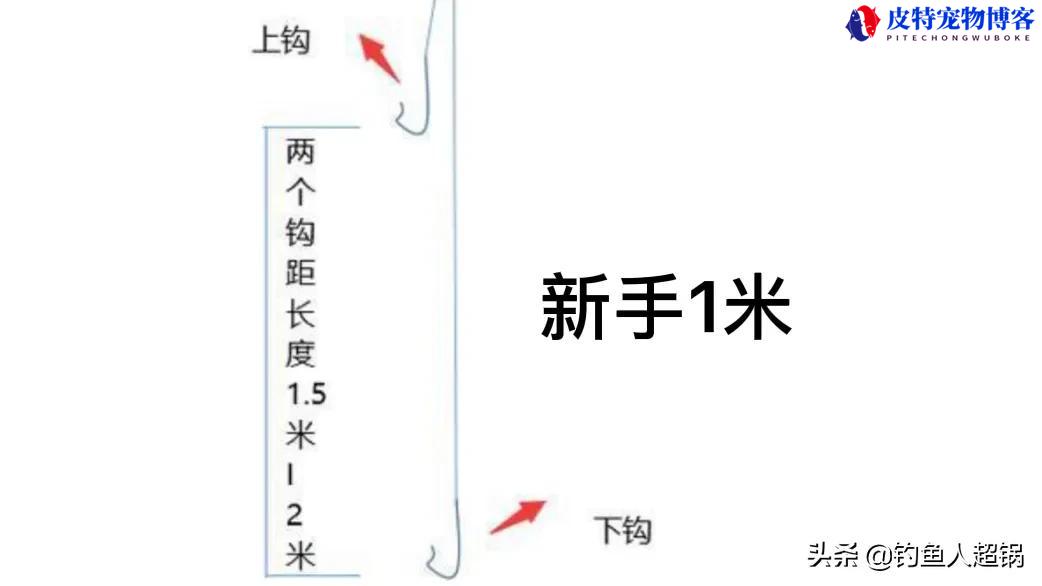 玉米翘嘴绝杀钓法，手杆夜钓翘嘴鱼钓法技巧和用饵技巧