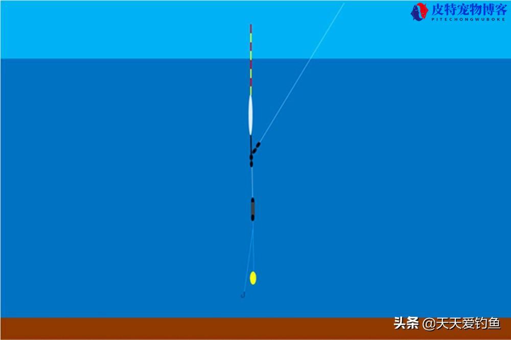 野钓鲫鱼调漂最佳方法图解说明，饵料怎么调漂好钓鲫鱼