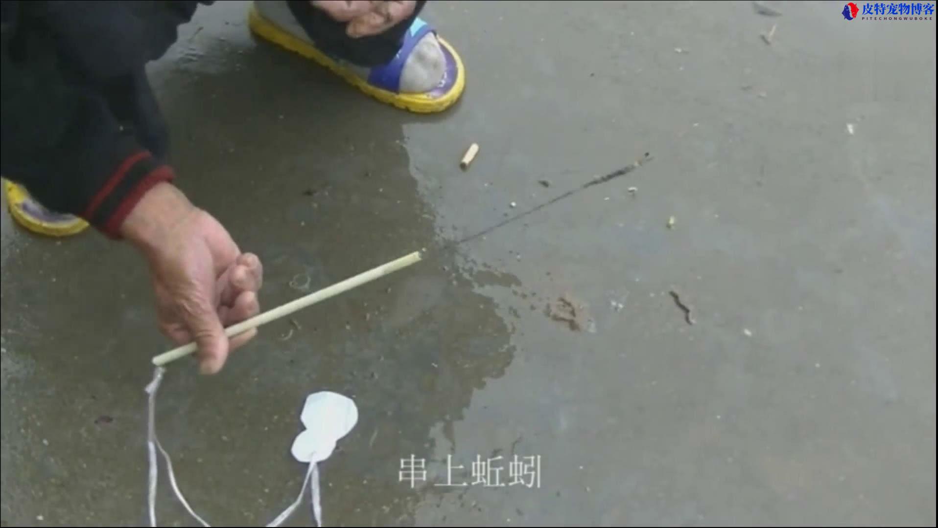 钓黄鳝的钩子制作方法图解，钓黄鳝的钩子是什么样子