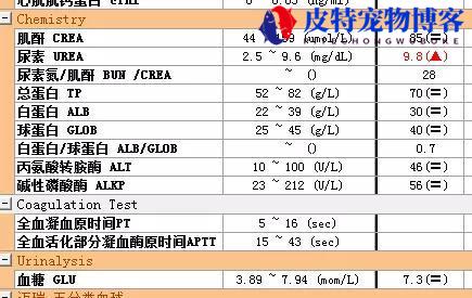 狗狗脖子上有个硬疙瘩（什么原因导致狗狗脖子出现硬疙瘩？）