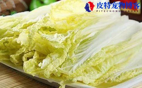 小狗喜欢吃什么食物，吃什么食物最好（调查小狗的食欲偏好）