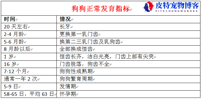 狗感冒了怎么办用最简单的方法，宠物狗感冒了有什么症状