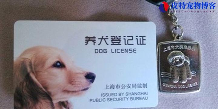 小型犬要不要办狗证，养狗为什么要办狗证(了解小型犬办理狗证的必要性)