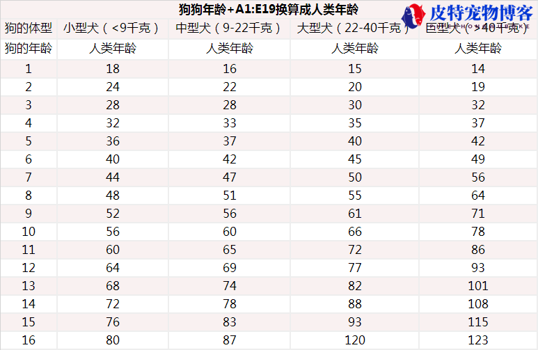 狗的年龄怎么计算（介绍狗狗年龄计算公式和不同年龄段对应人类年龄的比例）