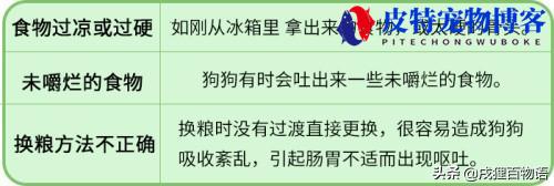 狗狗呕吐不吃饭没精神怎么办（狗狗出现呕吐、食欲不振和精神萎靡时应采取哪些措施）