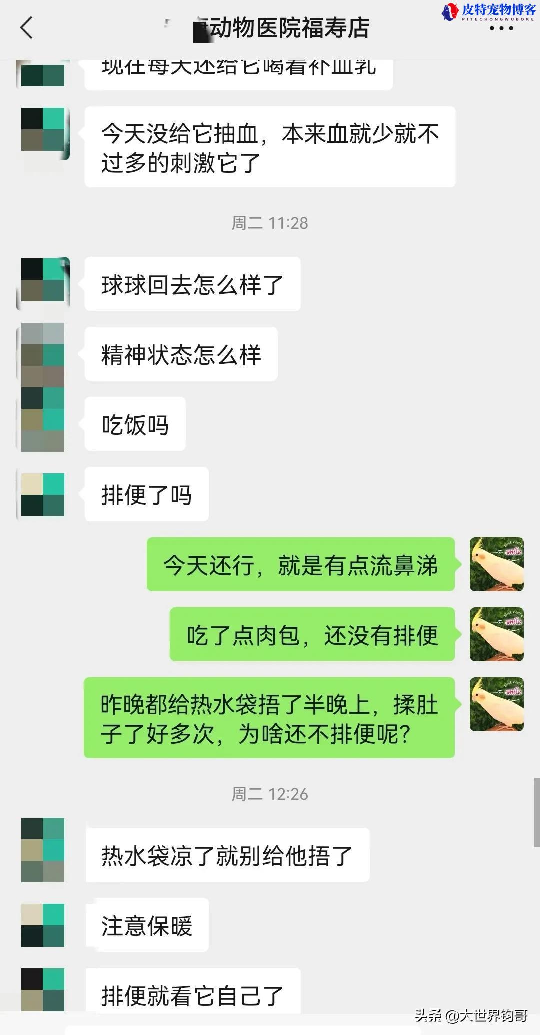 细小狗狗千万不要住院为什么（讨论细小病的住院治疗优劣）