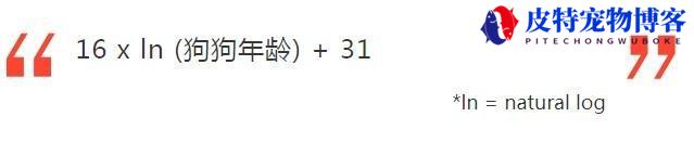 狗狗寿命有多长你知道吗，狗狗寿命怎么换算成人寿命