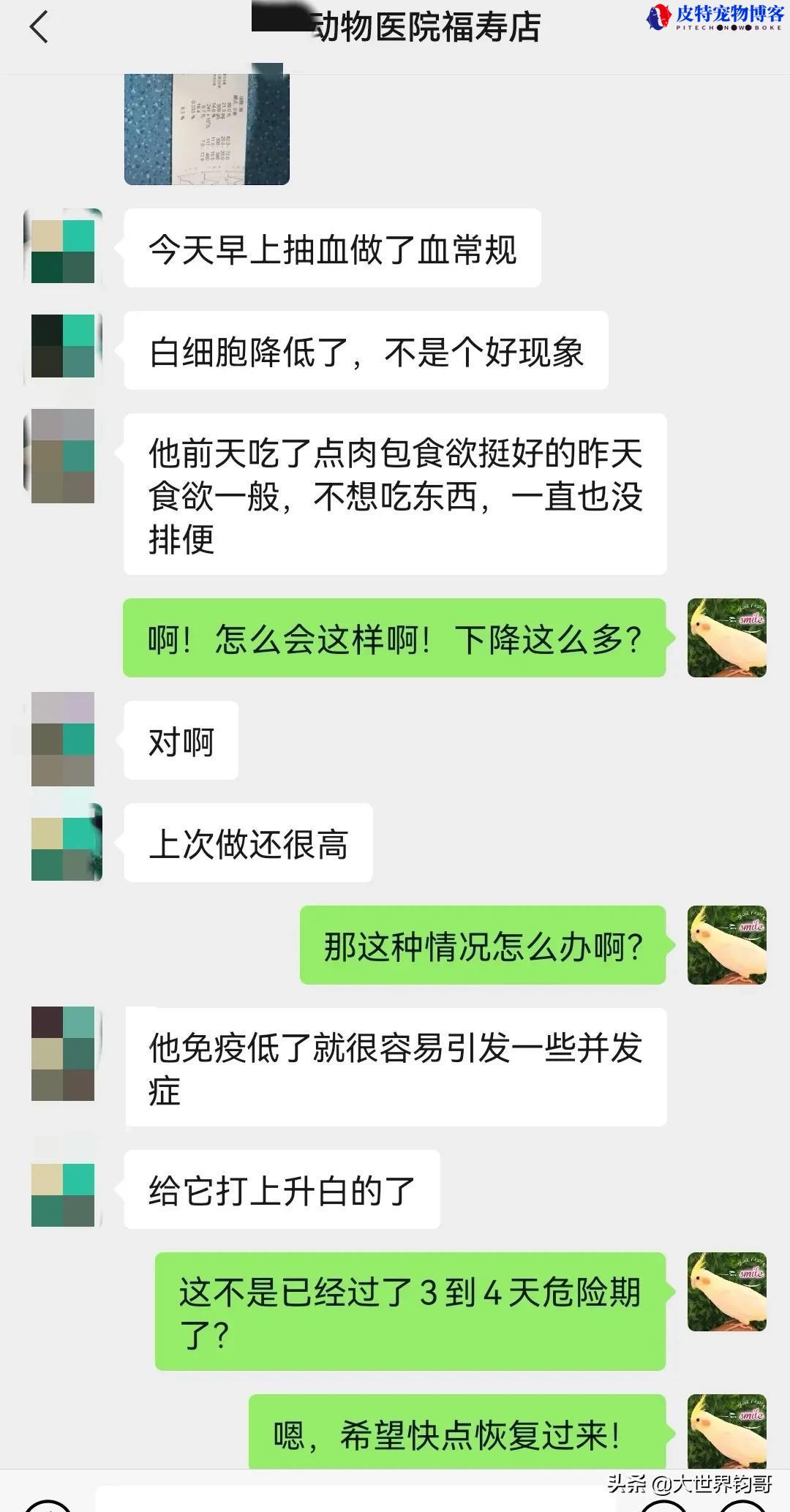 细小狗狗千万不要住院为什么（讨论细小病的住院治疗优劣）