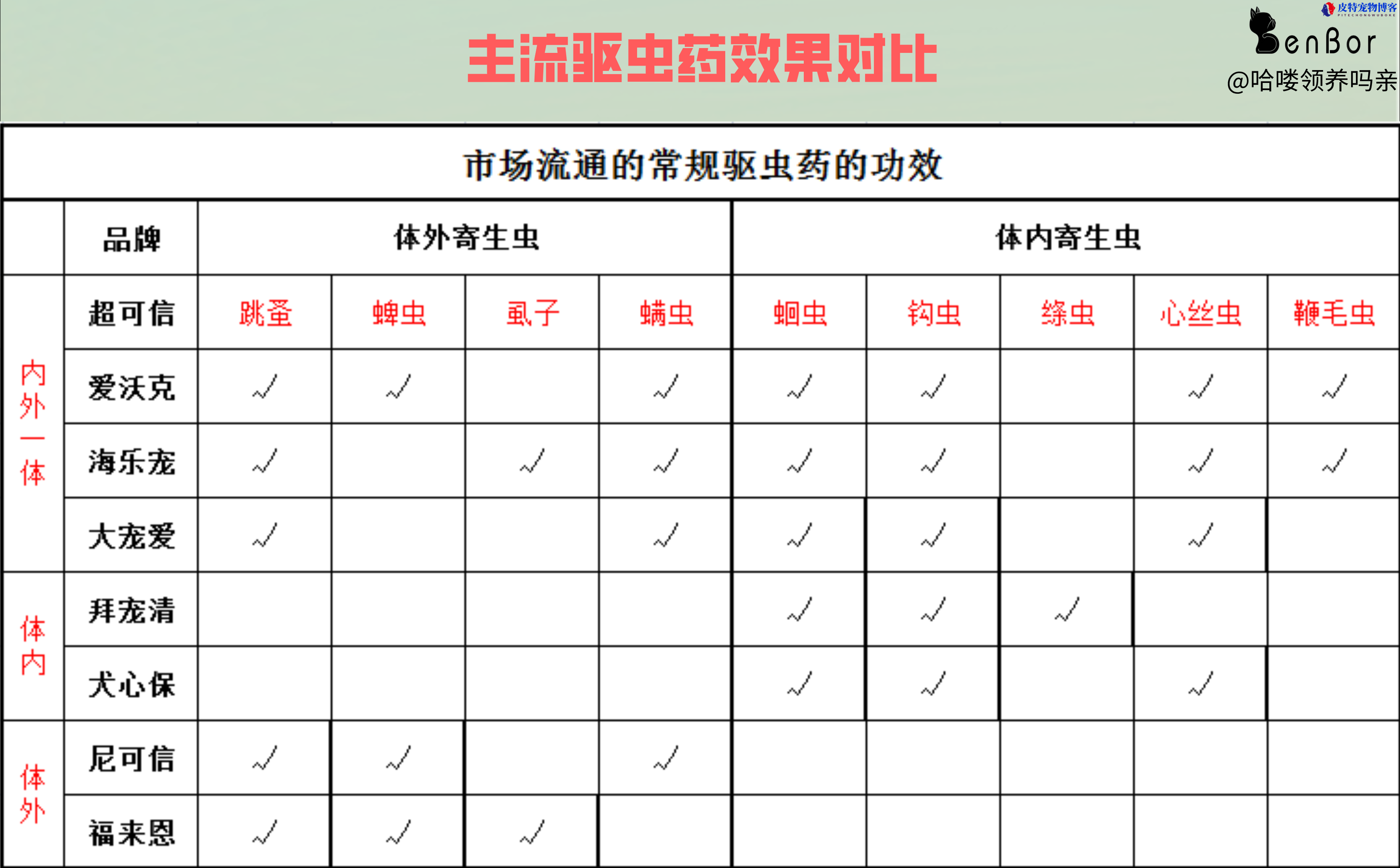 狗狗球虫病粪便图片，