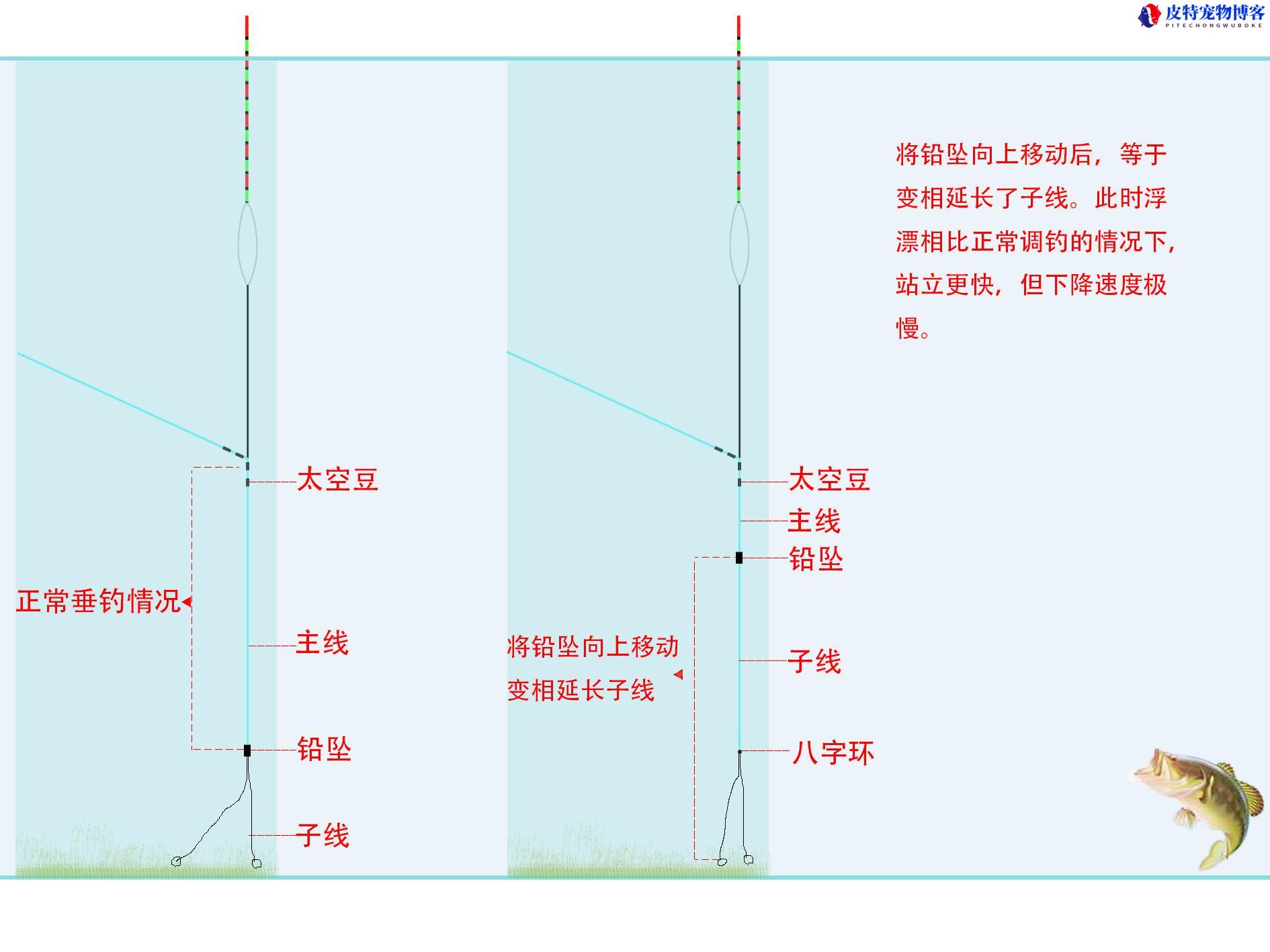 翘嘴钓底还是钓浮怎么调漂，翘嘴钓底还是钓浮,钓多深合适