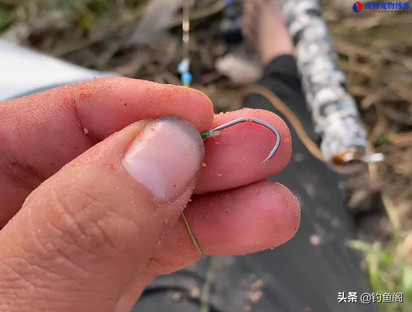 钓草鱼用几号鱼钩几号线，用吃铅多少的浮漂，钓鱼线和钩如何配用图解