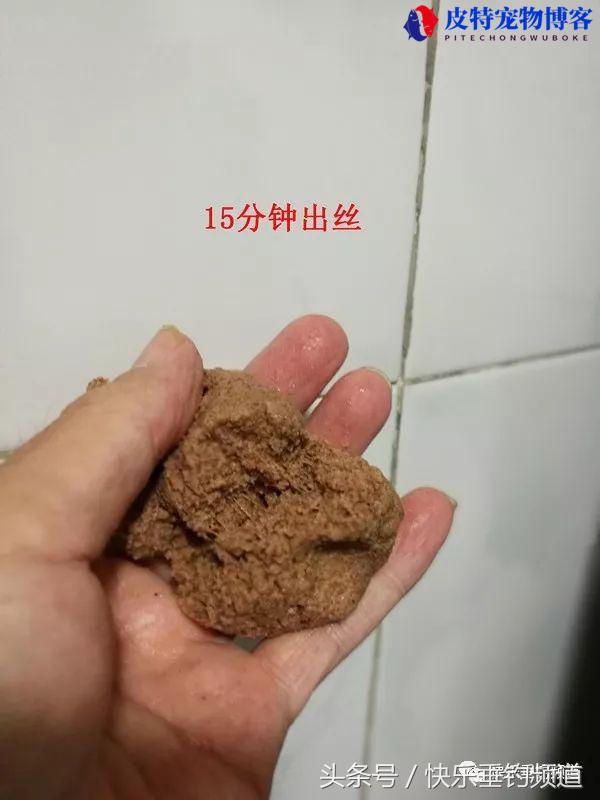 自制钓鱼饵料配方与方法大全，怎样自制钓鱼饵料好用又简单