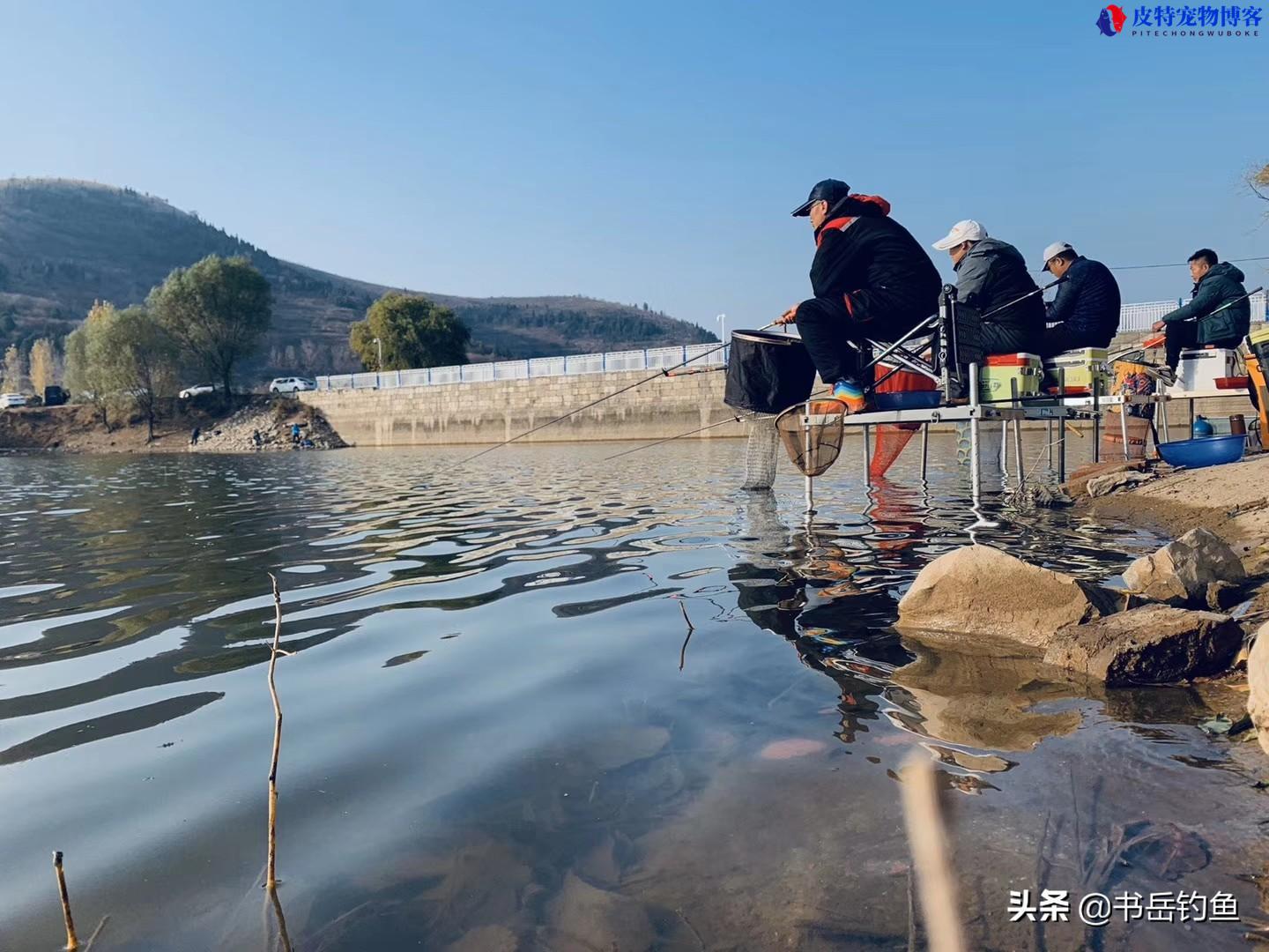 夏天水库钓草鱼怎么选钓位及水深多少合适，水库深水钓草鱼方法