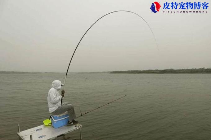 钓鲢鳙用多大的线组和鱼钩，夏季钓鲢鳙方法技巧图解大全