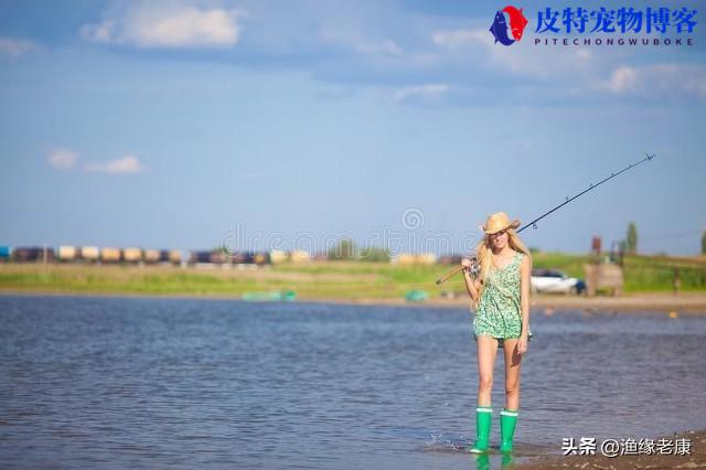 夏天晚上钓鱼钓深还是浅什么位置，钓鱼深浅交界处钓深还是浅