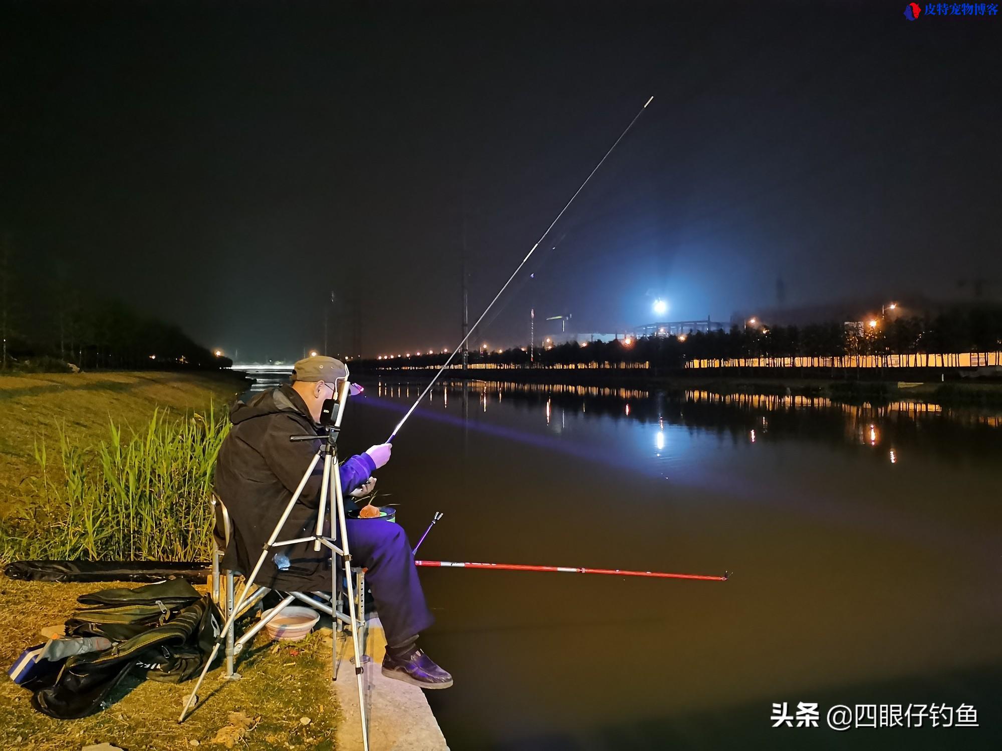 晚上能钓鲢鳙吗,怎么钓的，夏末秋初钓鱼注意什么事项