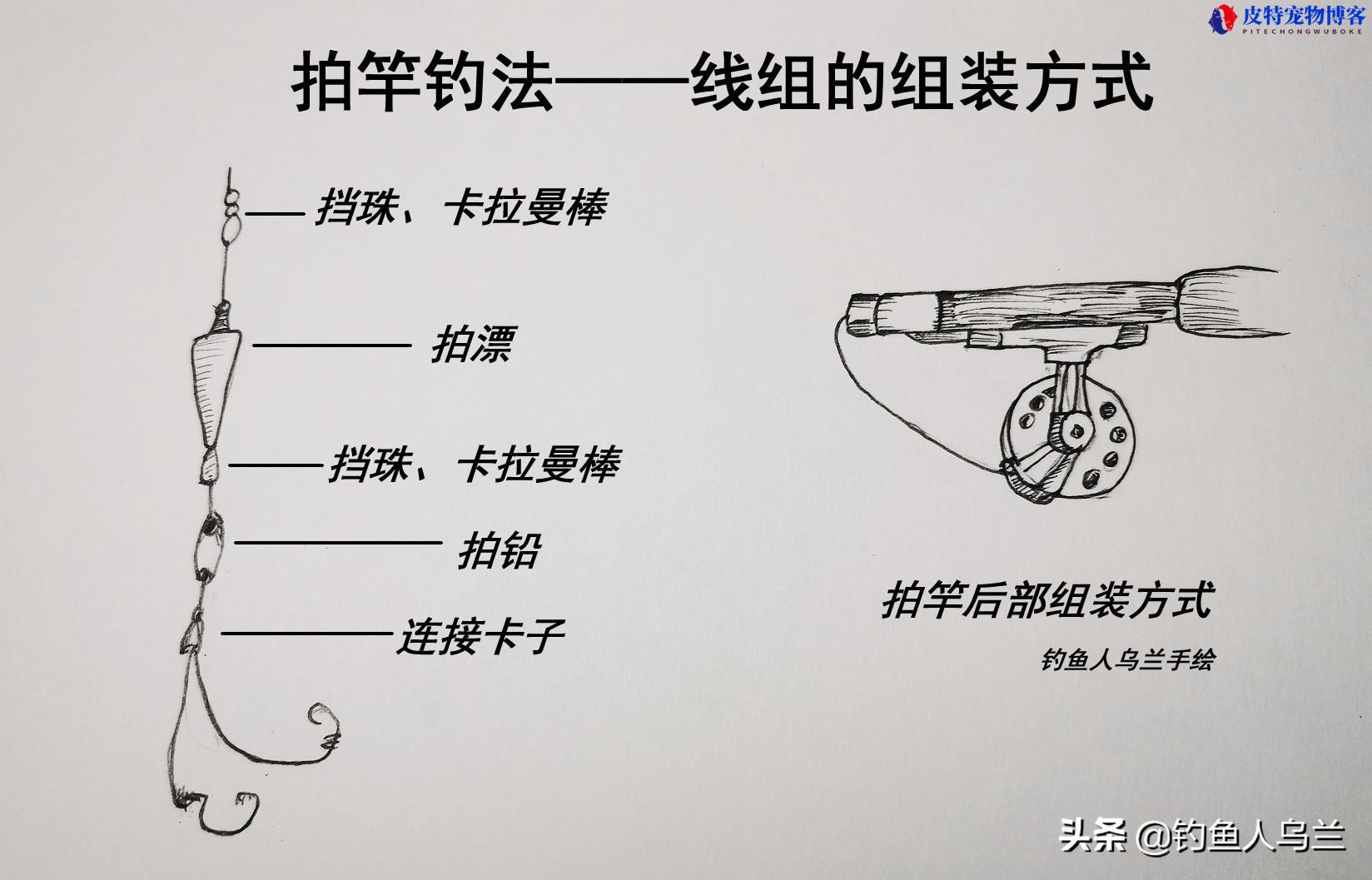 钓梭鱼的绝招有哪些，用什么竿，野钓梭鱼怎么钓最好用