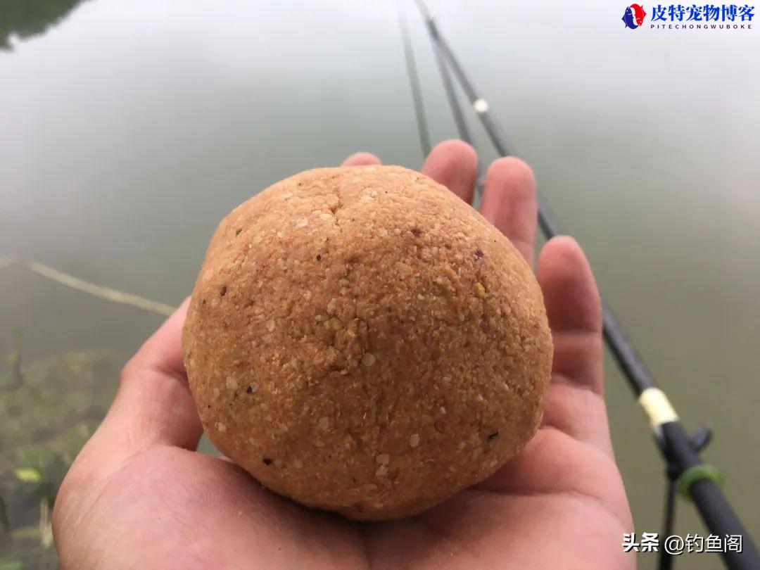 7月野钓鲤鱼用什么饵料钓比较好，钓野生鲤鱼饵料配方大全