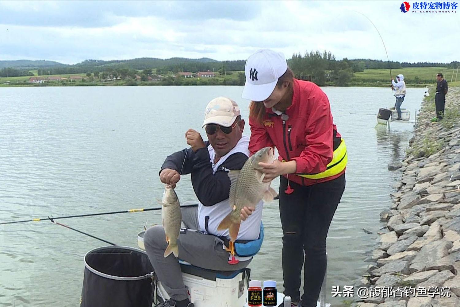 黑坑钓鲤鱼如何调漂最好用（分享在黑坑环境中调节漂的最佳方法）