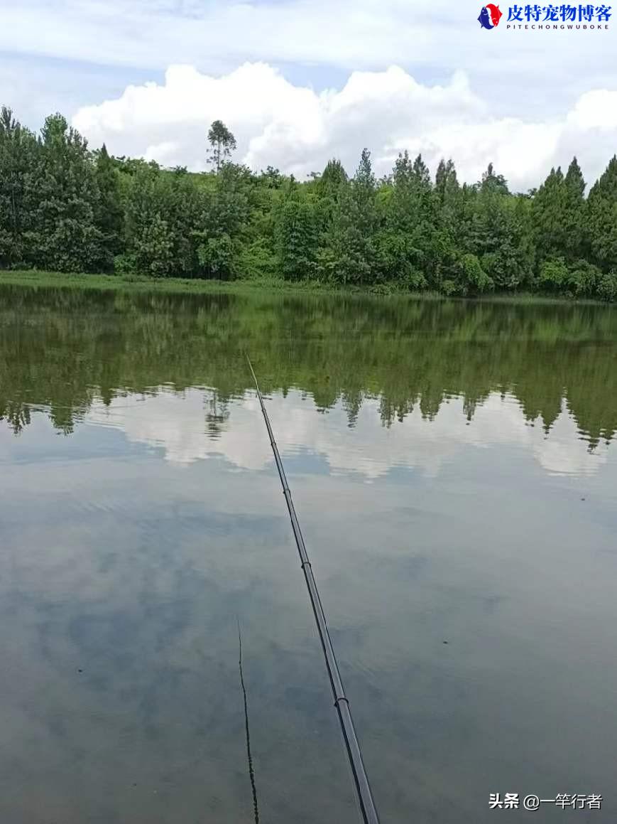 5月下雨天钓鱼好不好钓，钓鱼应该钓深水还是浅水（钓鱼人心情天气皆佳）